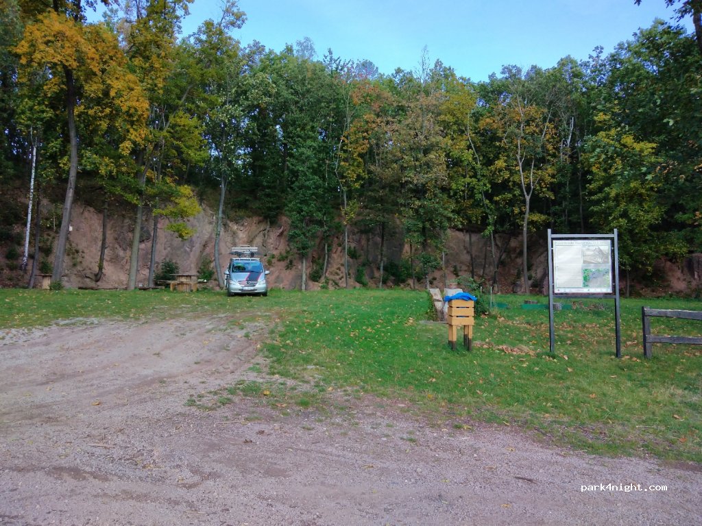 (59-420) Świny - — foto