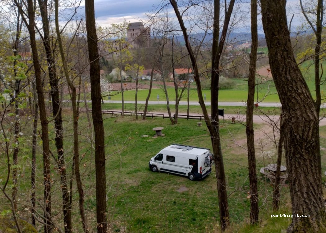 (59-420) Świny - — foto 4