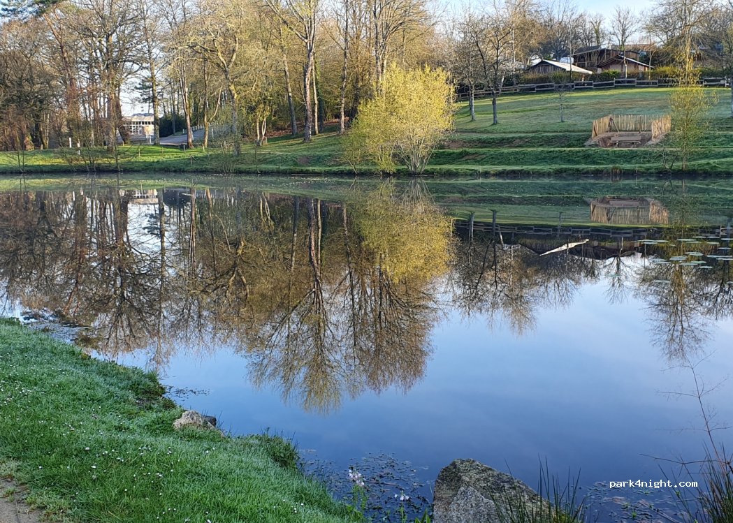 (56330) Camors - Etang du petit bois — foto 3