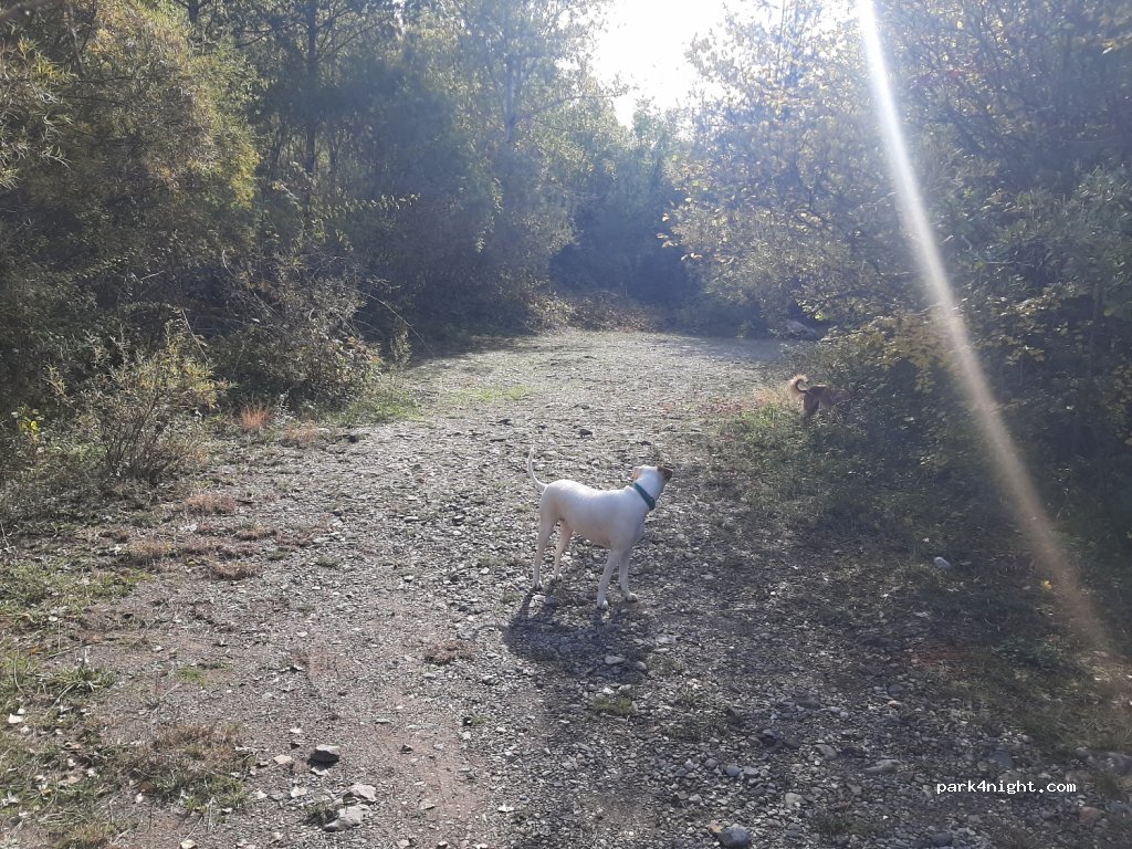 (25552) Pont de Suert - 342 N-260 — foto 2