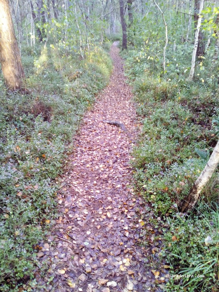 (27442) Gnarrenburg - Unnamed Road — foto 2
