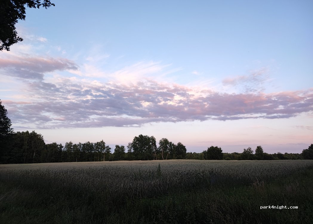 (27442) Gnarrenburg - Unnamed Road — foto 4
