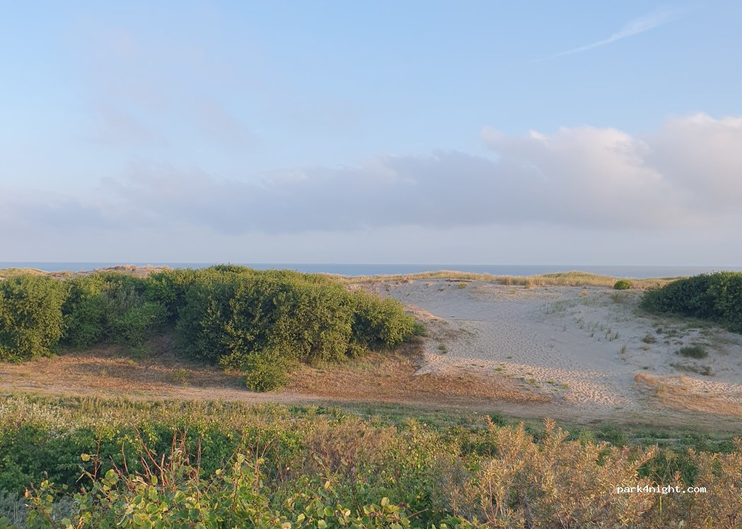 Camping De ZeeKoning — foto 5