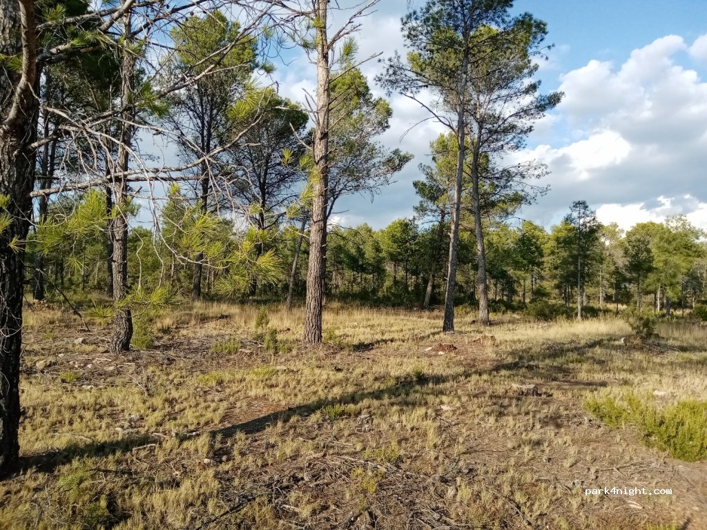 (16210) Campillo de Altobuey - CM-211 — foto