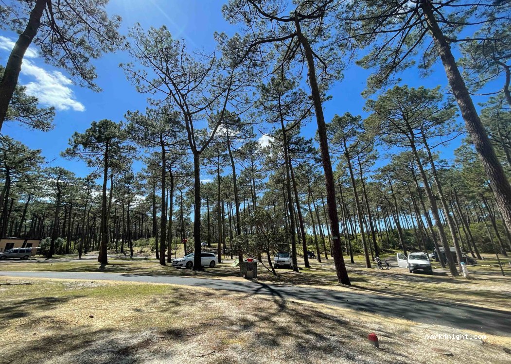 Camping Municipal La Grigne — foto 2