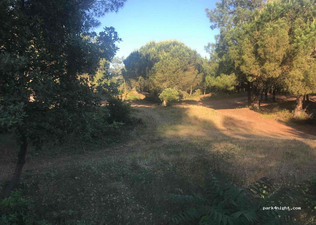 (44250) Saint-Brevin-les-Pins - 2 Allée des Goélands — foto