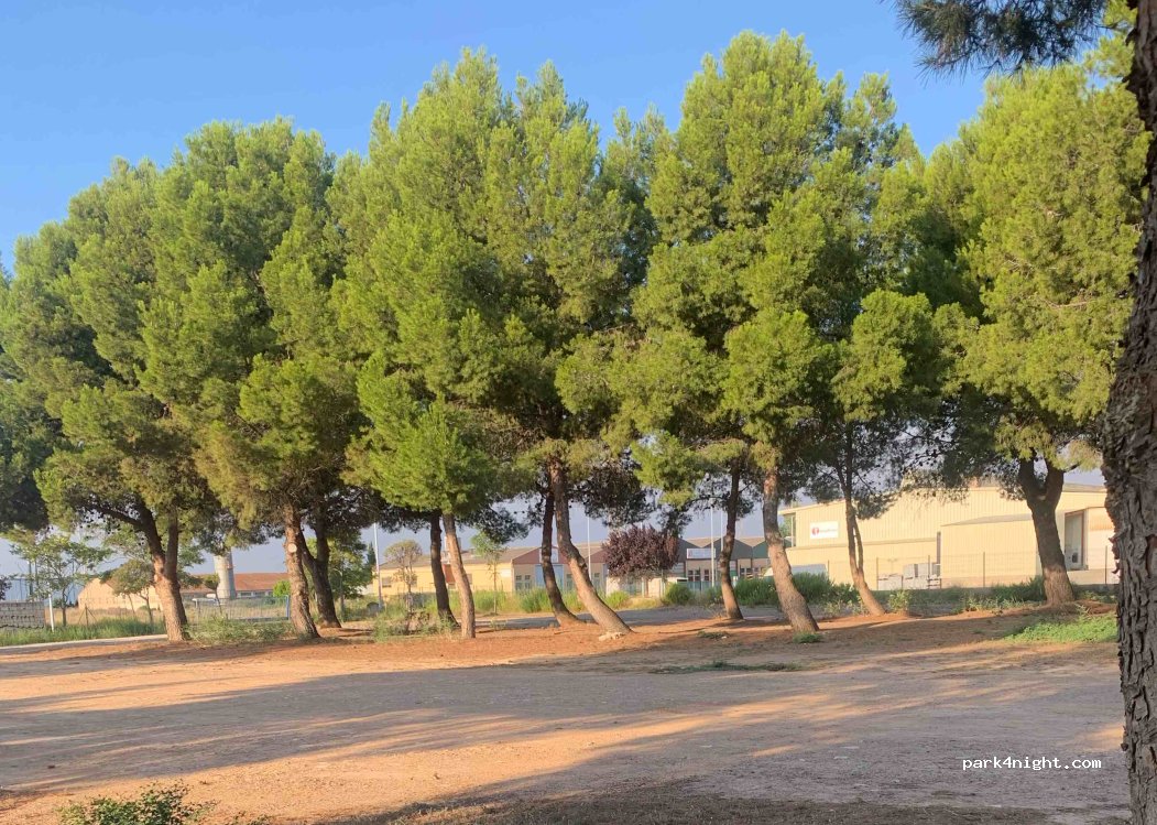 (31500) Tudela - — foto 4
