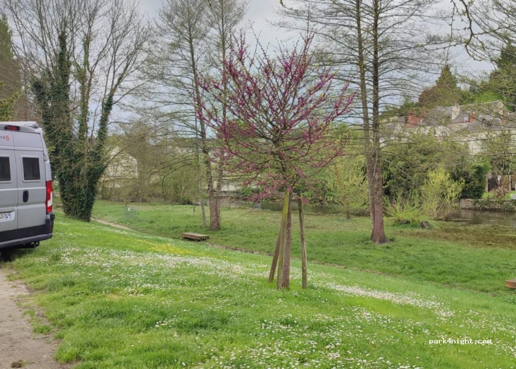 (37600) Loches - Avenue Louis XI — foto 4