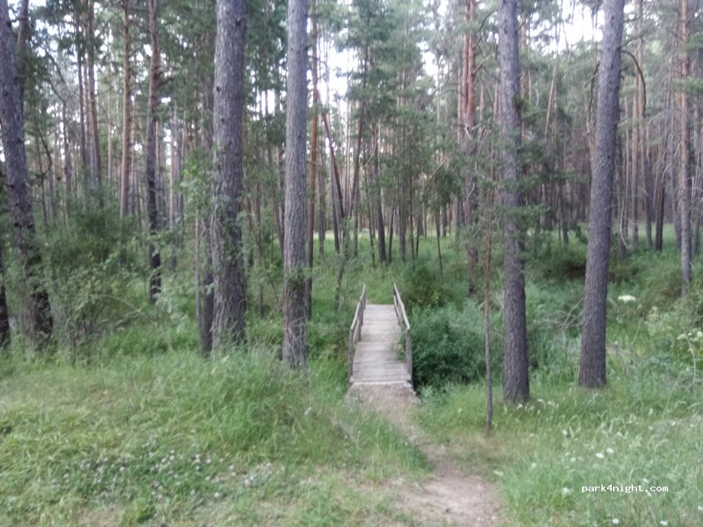 (44126) Frías de Albarracín - — foto 2