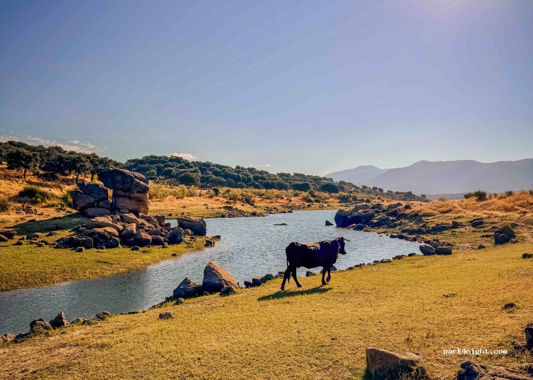 (10600) Plasencia - Unnamed Road — foto 5