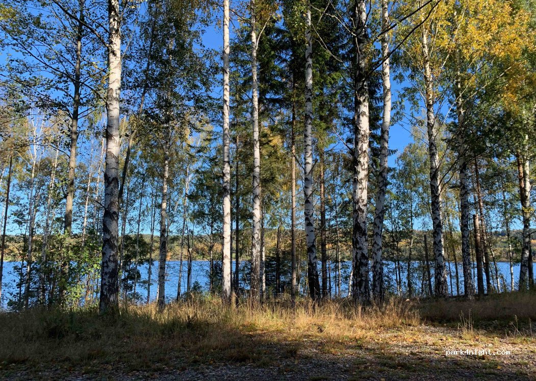 (662 91) Edsleskog - Unnamed Road — foto 2