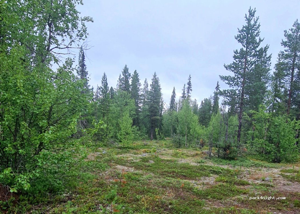 (982 99)  - Unnamed Road — foto 2