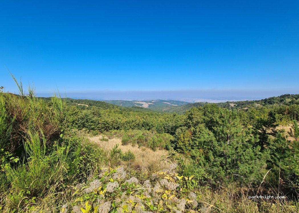 (53023) Castiglione d'Orcia - Strada Provinciale 65 di Vivo d'Orcia — foto 2