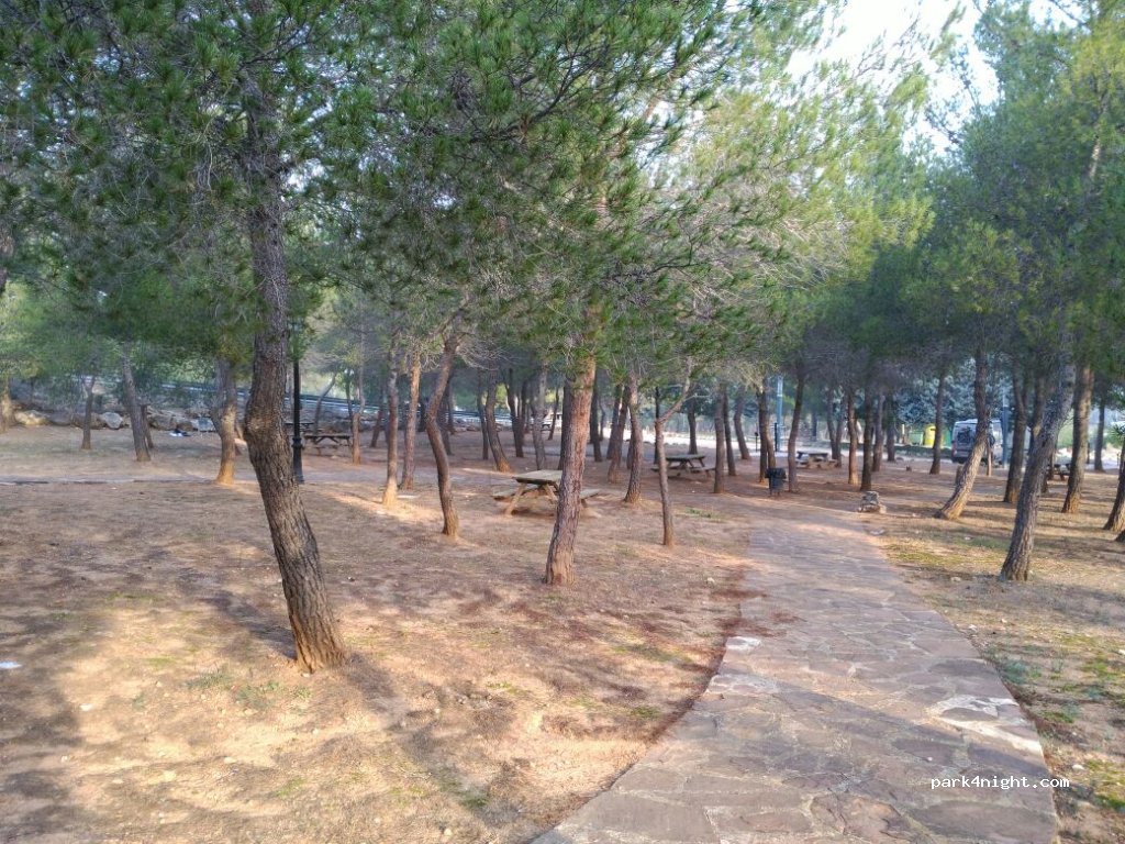 (46269) Tous - 65 Camino Cementerio — foto 3