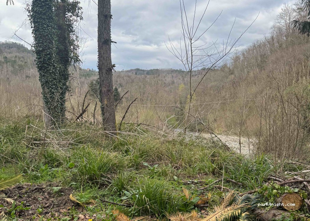 (19020) Carrodano - 2 Località Ferriere — foto 2