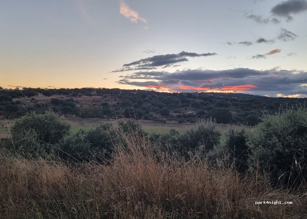 (37774) Guijo de Ávila - Unnamed Road — foto 4