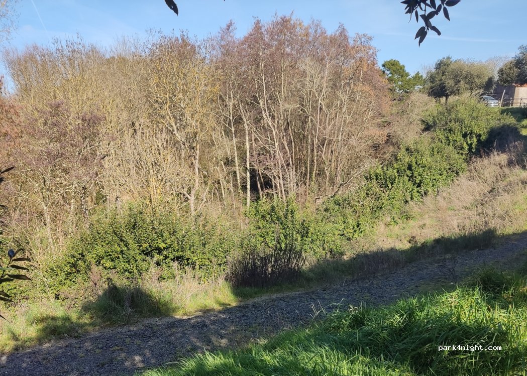 (85470) Brem-sur-Mer - 13 Rue des Vallées — foto 2