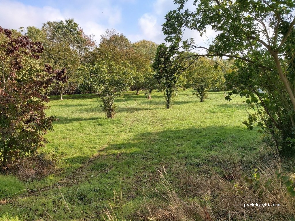 (17440) Aytré - Unnamed Road — foto 3