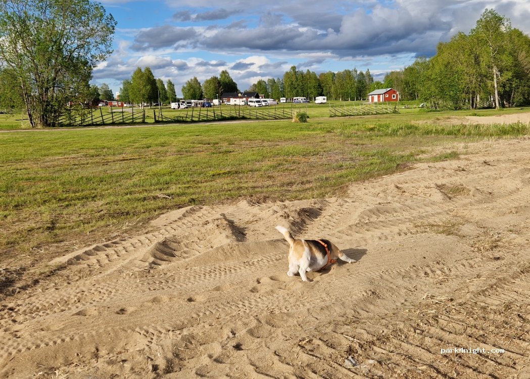 Nordmaling Rödviken Camping — foto