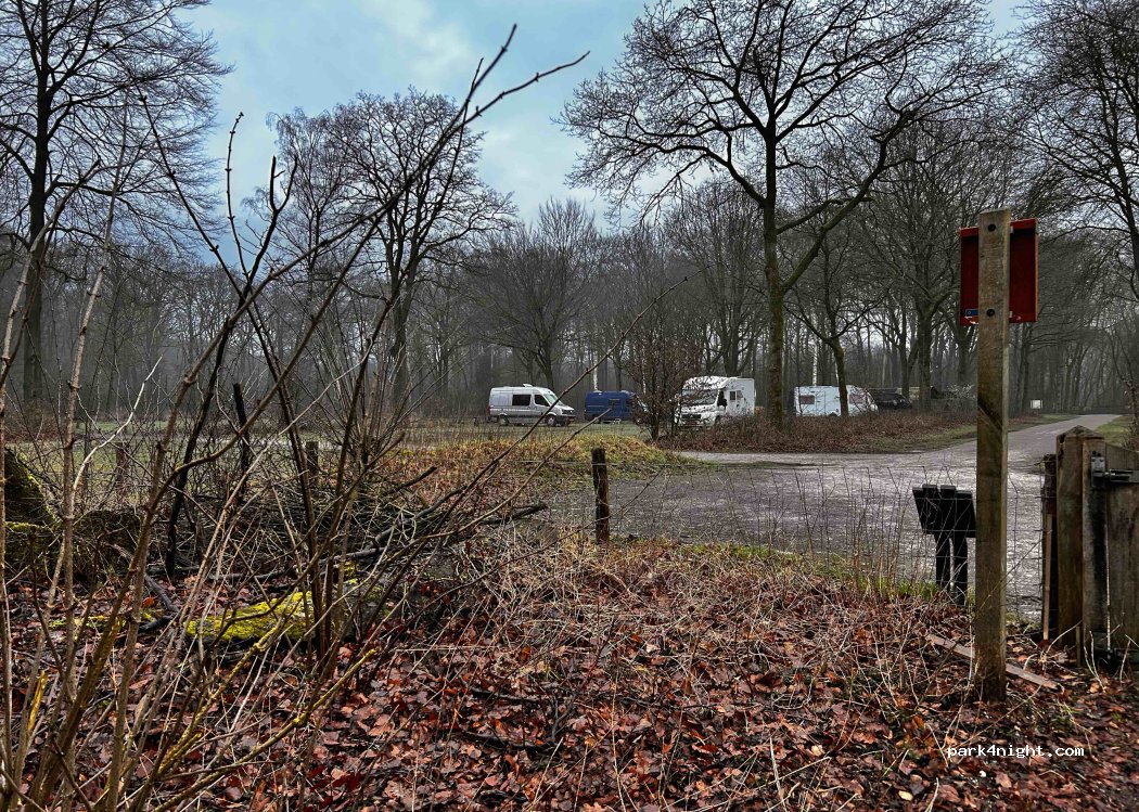 Natuurkampeerterrein Drie — foto