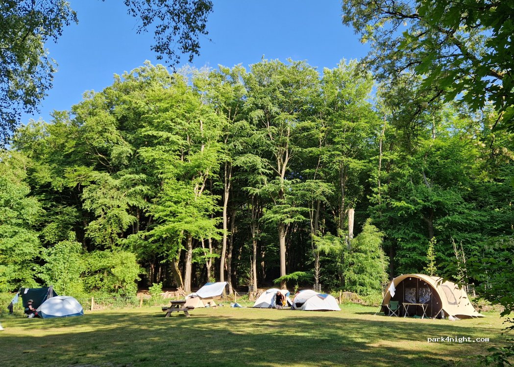Natuurkampeerterrein Drie — foto 2