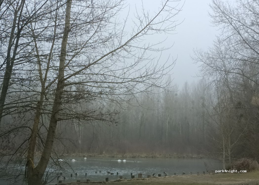 (60240) Lavilletertre - D536 — foto 5