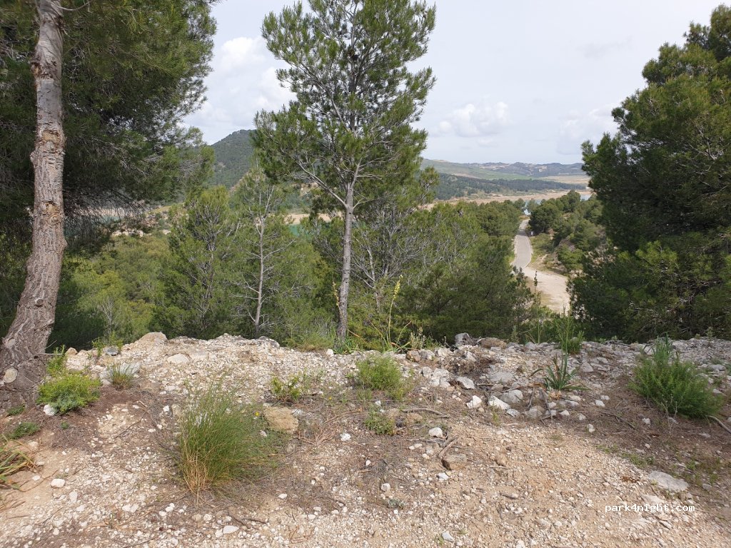 (29320) Campillos - Unnamed Road — foto
