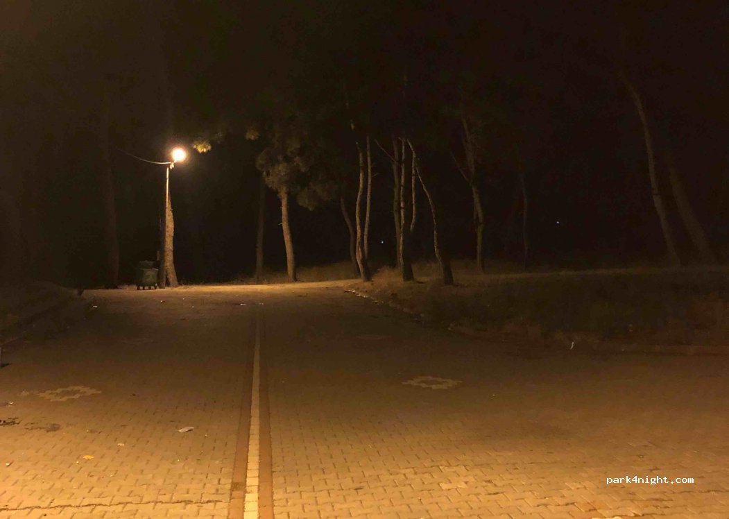 (45700)  - Akhisar Bergama Yolu — foto 2