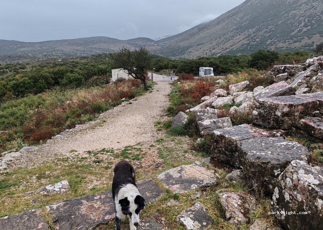 (482 00) Arta - Eparchiaki Odos Pente Pigadion - Kampis — foto 3