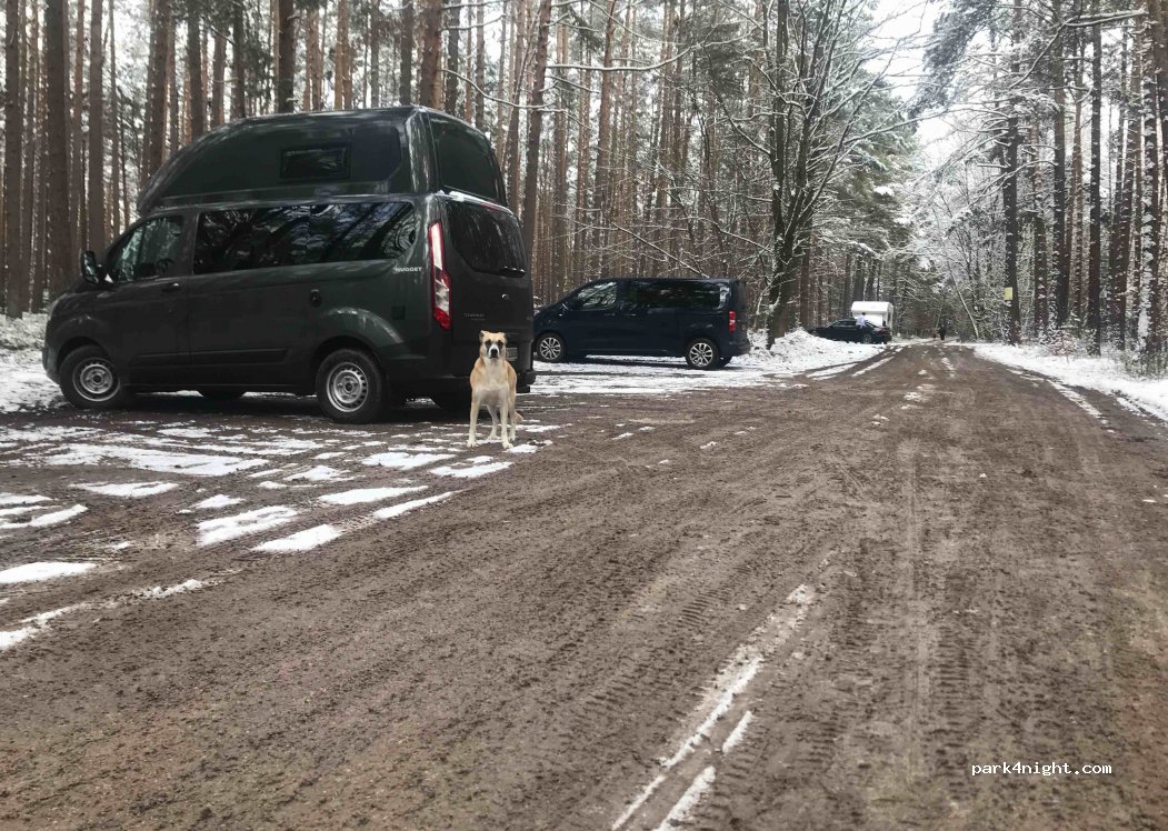 Wanderparkplatz Dillenberg — foto 2