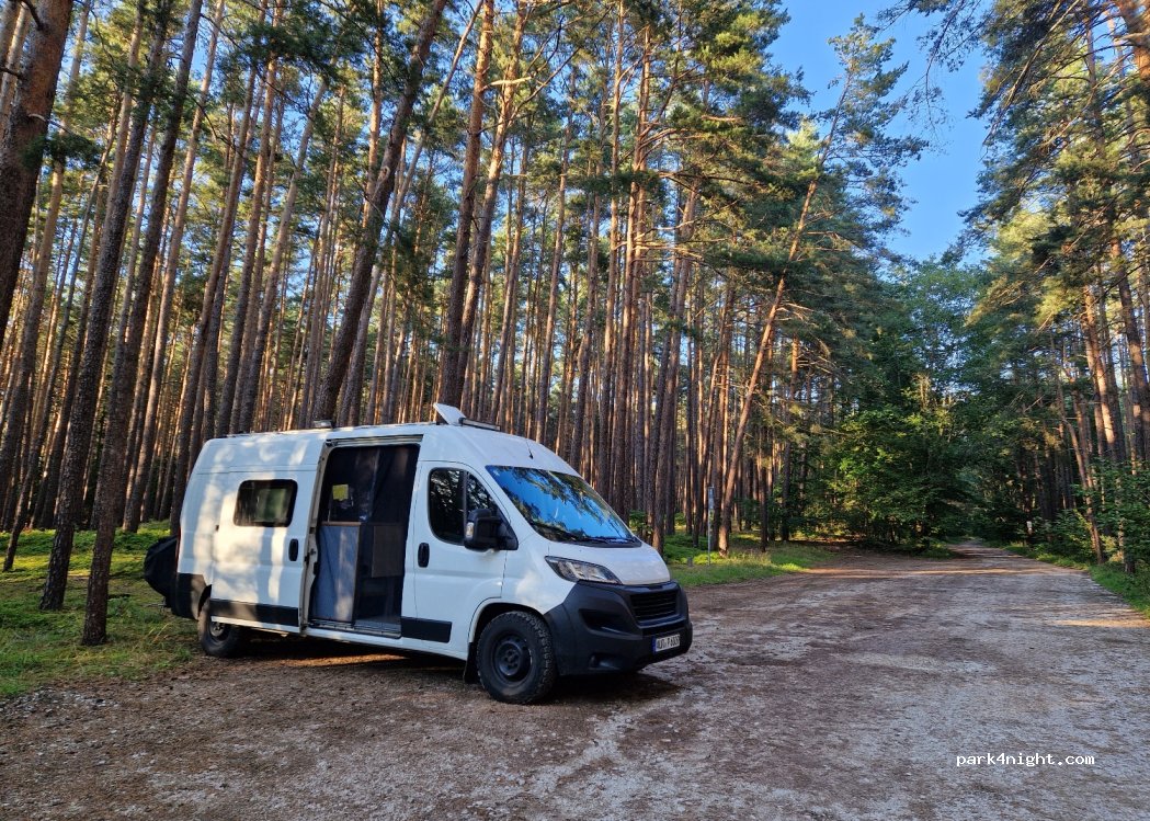 Wanderparkplatz Dillenberg — foto 4