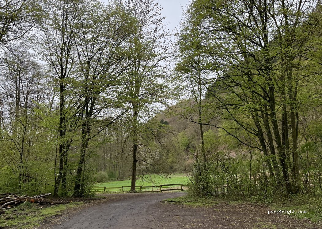 (56566) Neuwied - 99 Zum Aubachtal — foto 5