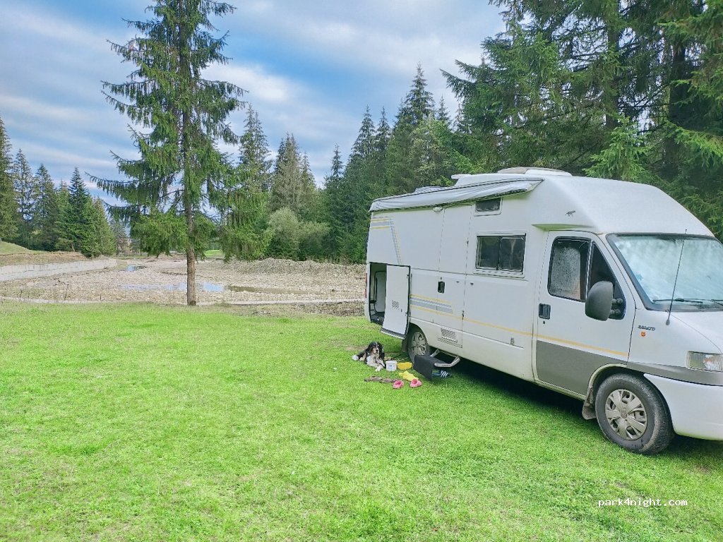 (725301) Voroneț - DJ177D — foto