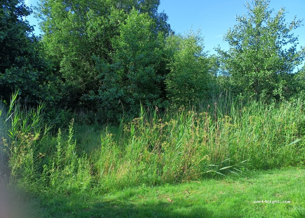 (437 40)  - 207 Gamla riksvägen — foto 2