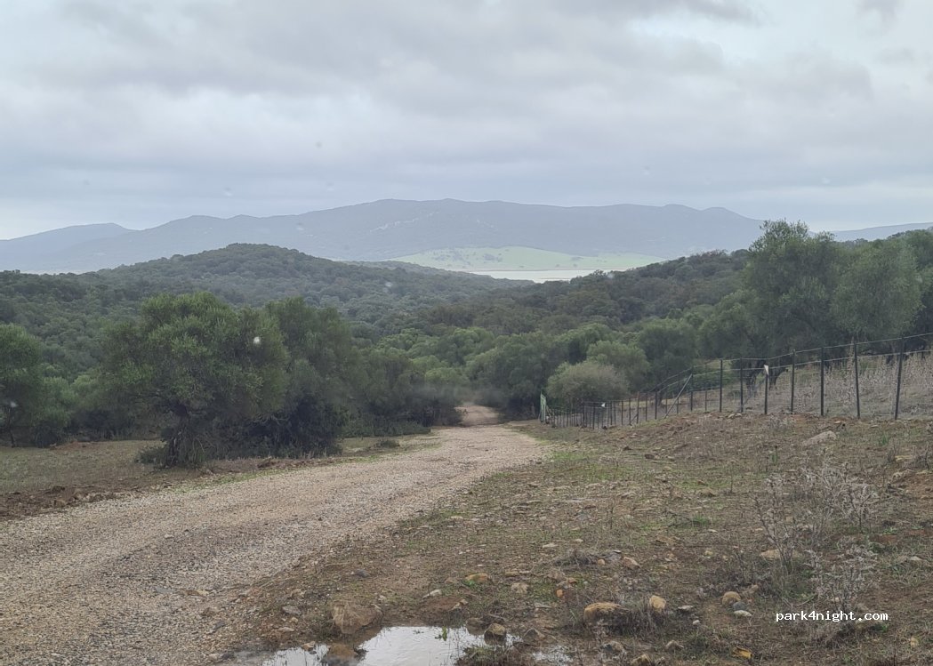 (11180) Alcalá de los Gazules - CA-2112 — foto 2