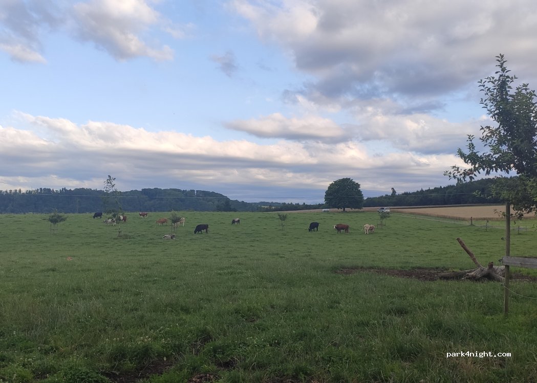 (3283) Kallnach - 18 Krosenrain — foto