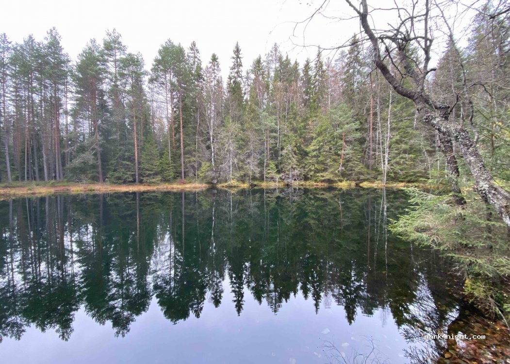 (25390)  - 364 Oinasjärventie — foto 3