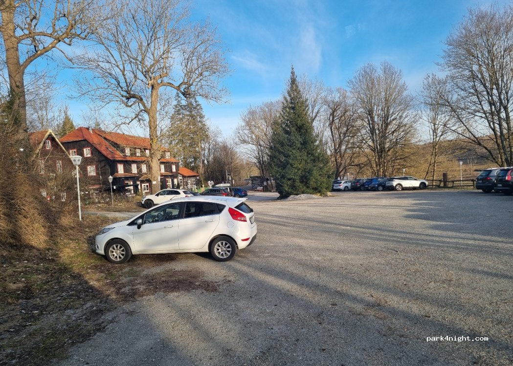 (38875) Elend - 1 Mandelholz — foto