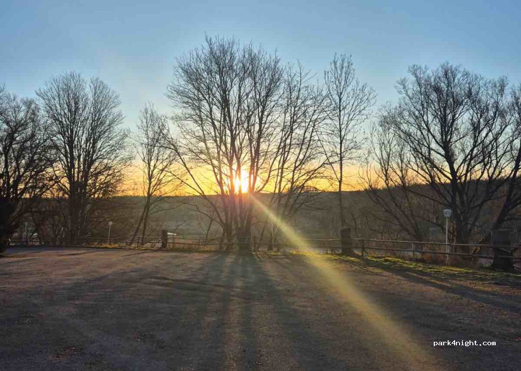 (38875) Elend - 1 Mandelholz — foto 3