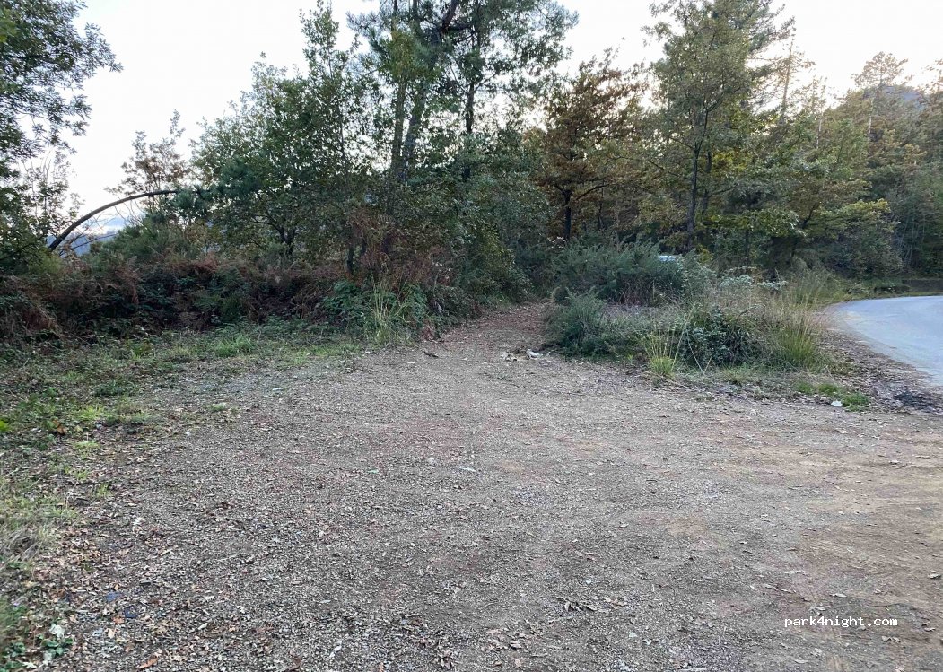 (54010) Podenzana - Strada Provinciale 14 — foto