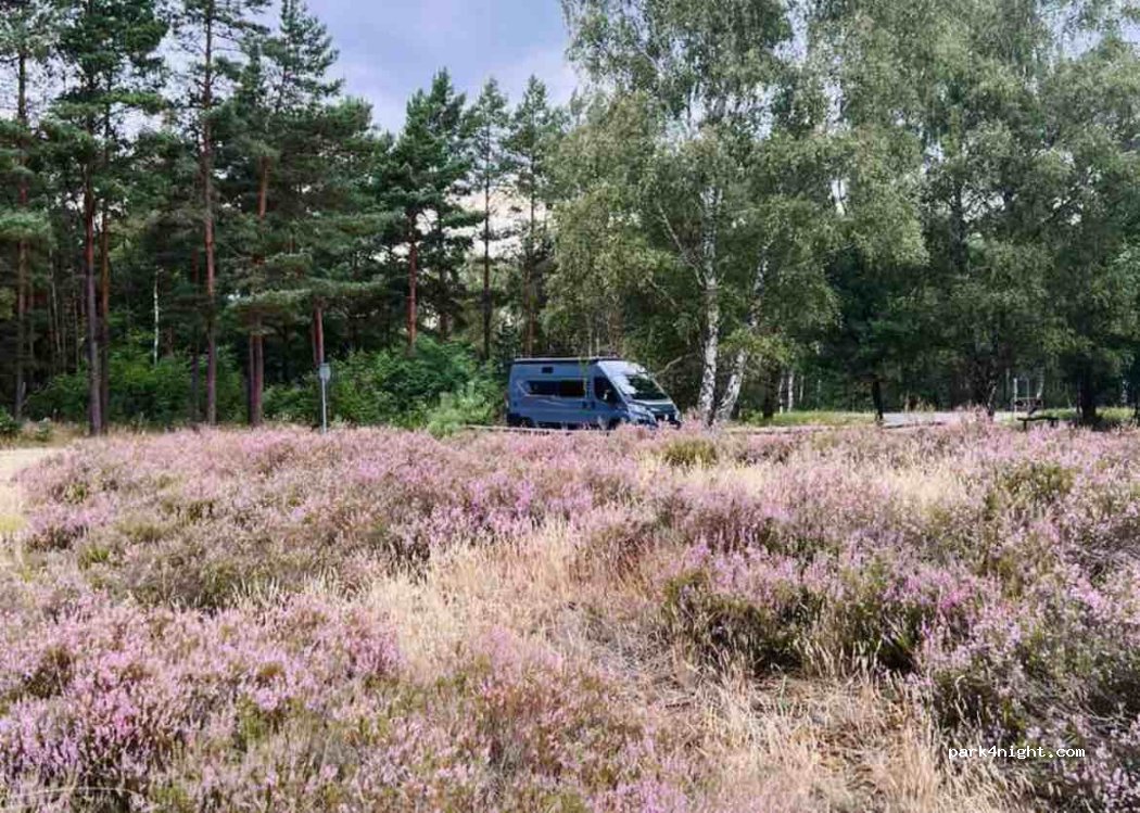 Parkplatz Nemitzer Heide — foto 2