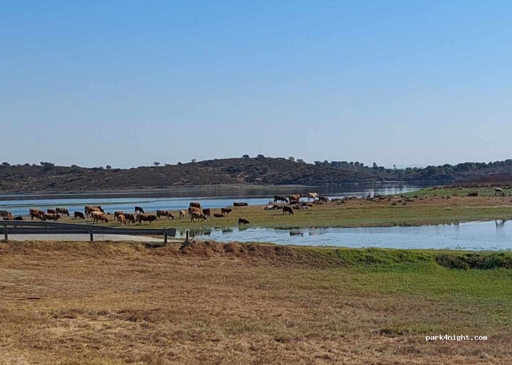 (7200-184) Monsaraz - Praia fluvial — foto 3
