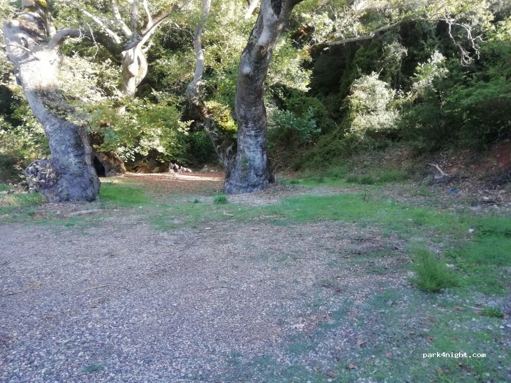 (220 28) Gortynia - Eparchiaki Odos Karitenas - Loutron Ireas — foto