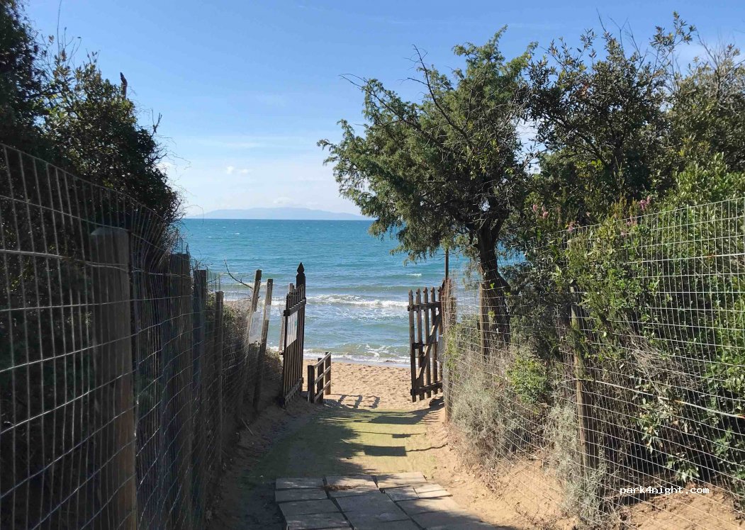 Hippocampus Campo Regio — foto