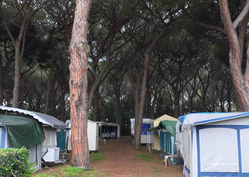 Hippocampus Campo Regio — foto 2