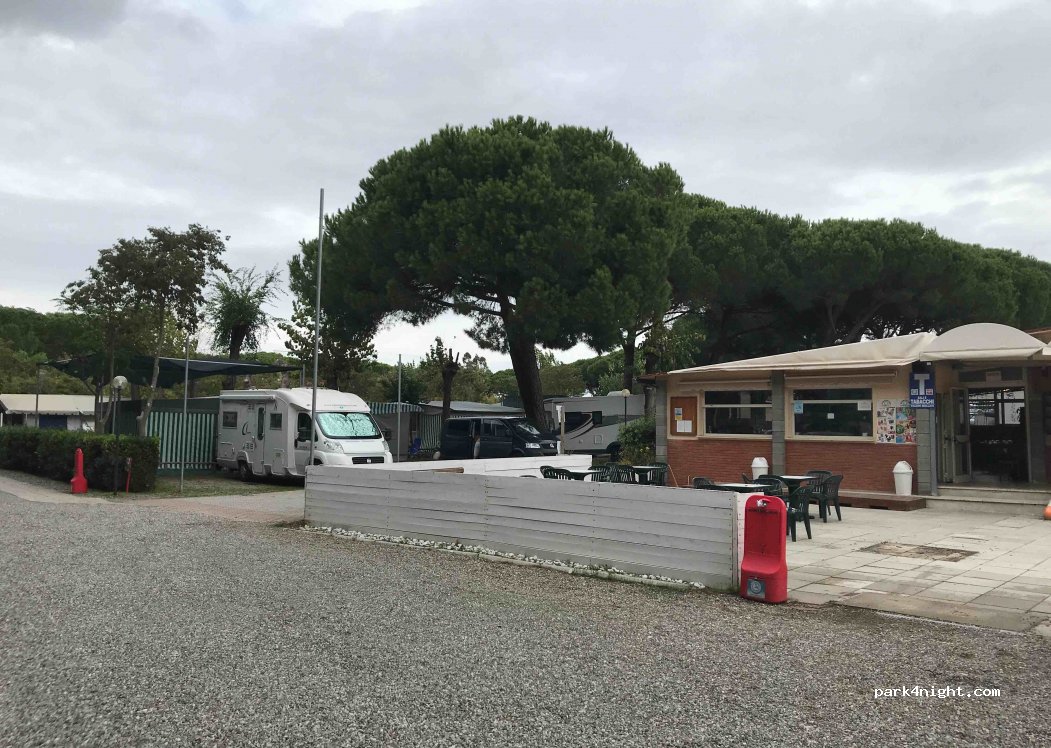 Hippocampus Campo Regio — foto 3