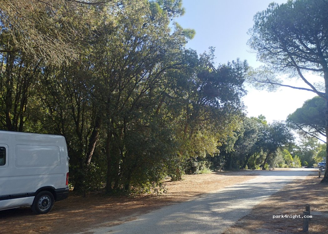 (17880) Les Portes-en-Ré - 12 Route du Feu du Fier — foto 4