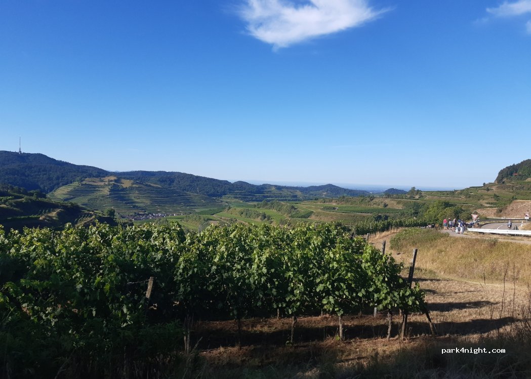 (79346) Endingen am Kaiserstuhl - Oberbergener Straße — foto