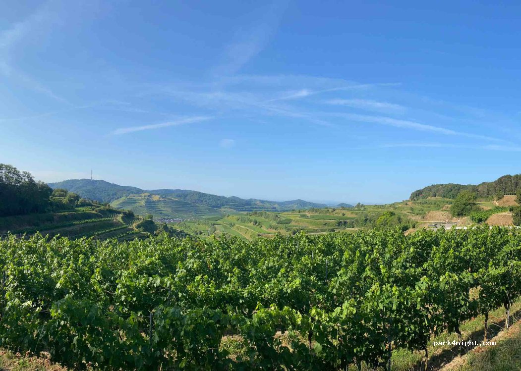 (79346) Endingen am Kaiserstuhl - Oberbergener Straße — foto 2