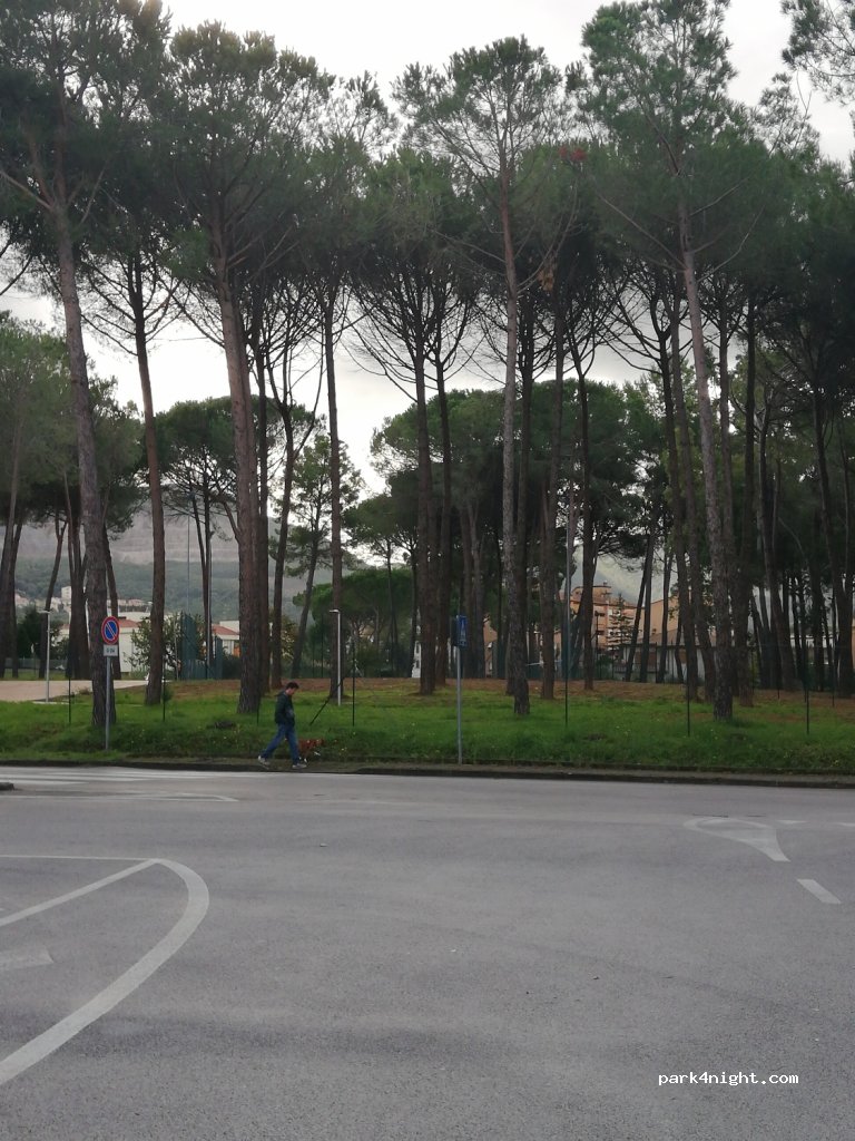 (58023) Bagno di Gavorrano - 34 Via Ezio Tarantelli — foto 3